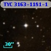 TYC 3163-1181-1