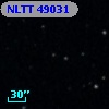 NLTT 49031