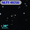 NLTT 49256