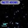 NLTT 49305