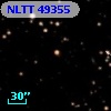 NLTT 49355