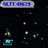 NLTT 49629