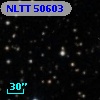 NLTT 50603