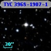 TYC 3968-1907-1