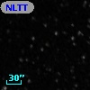 NLTT 52978