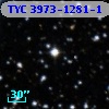 TYC 3973-1281-1