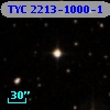 TYC 2213-1000-1