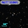 NLTT 55065