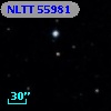 NLTT 55981
