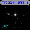 TYC 2244-1667-1