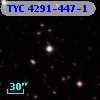 TYC 4291-447-1