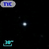 TYC 1175-25-1