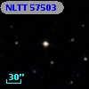 NLTT 57503