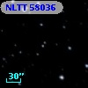NLTT 58036