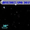 [BFO2002] UMi 30193