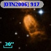 [OTN2006]  917