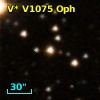 V* V1075 Oph