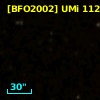 [BFO2002] UMi 11213