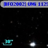 [BFO2002] UMi 11254