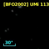 [BFO2002] UMi 11313