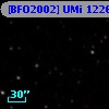 [BFO2002] UMi 12263