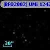 [BFO2002] UMi 12423