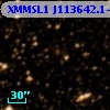 XMMSL1 J113642.1-600310