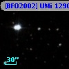 [BFO2002] UMi 12905