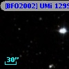 [BFO2002] UMi 12994