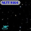 NLTT  9164