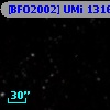 [BFO2002] UMi 13166