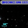 [BFO2002] UMi 13215