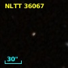 NLTT 36067