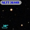 NLTT 36449