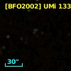 [BFO2002] UMi 13391