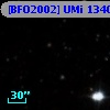 [BFO2002] UMi 13401