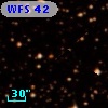 WFS  42
