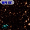 WFS  55