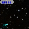 WFS  81