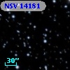 NSV 14181