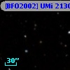 [BFO2002] UMi 21304
