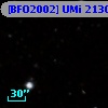 [BFO2002] UMi 21308