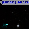 [BFO2002] UMi 21341