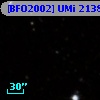 [BFO2002] UMi 21381