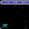 [BFO2002] UMi 21384