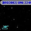 [BFO2002] UMi 22482