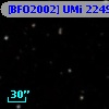 [BFO2002] UMi 22496