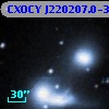 CXOCY J220207.0-315817