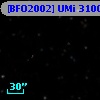 [BFO2002] UMi 31007
