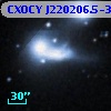 CXOCY J220206.5-315933